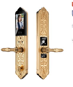 Khóa cửa điện tử biệt thự đại sảnh Avolock AC-998F-G